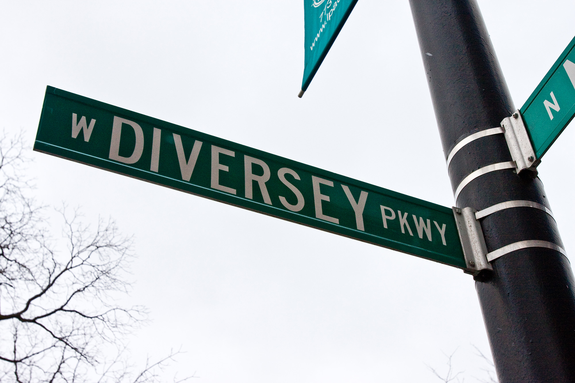 What’s in a Name?